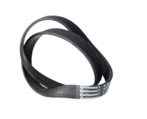 Image of CONTITECH V-ribbed belt 6PK842 ELAST Serpentine belt,Auxiliary belt VW,AUDI,SKODA,Golf V Schragheck (1K1),TOURAN (1T1, 1T2),Passat Variant (3C5)