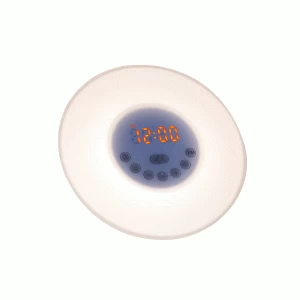 Image of Lifemax Talking Alarm Clock