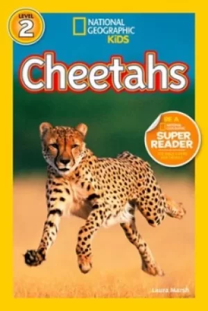 Image of Cheetahs by Laura Marsh