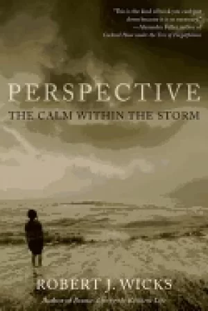 Image of perspective the calm within the storm