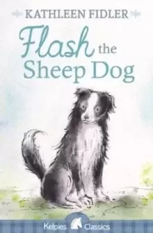 Image of Flash the Sheep Dog