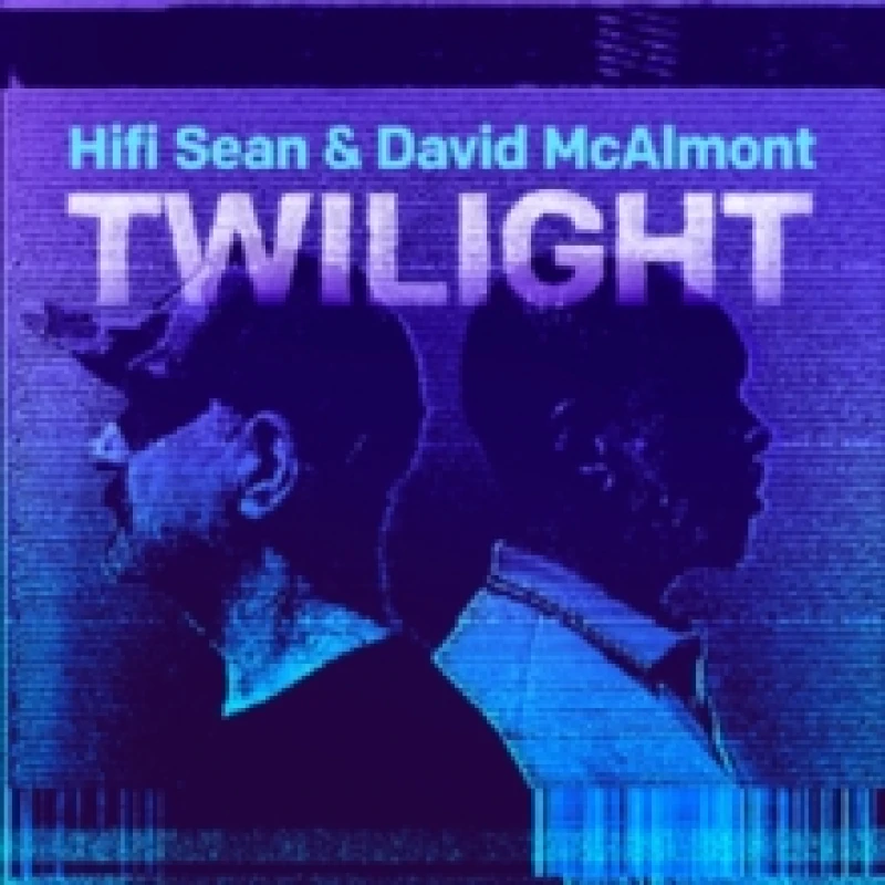 Image of Twilight Vinyl