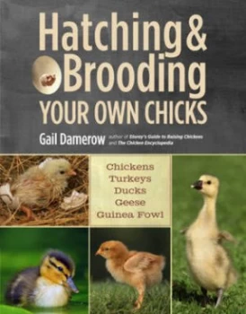 Image of Hatching and Brooding Your Own Chicks by Gail Damerow Book