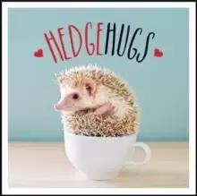 Image of Hedgehugs : A Spike-Tacular Celebration of the World's Cutest Hedgehogs