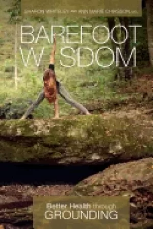 Image of barefoot wisdom better health through grounding