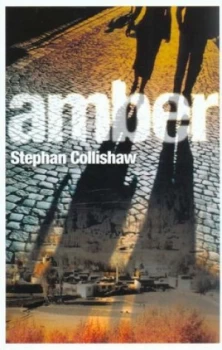 Image of Amber by Stephan Collishaw Book