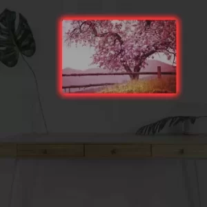 Image of 4570DHDACT-160 Multicolor Decorative LED Lighted Canvas Painting