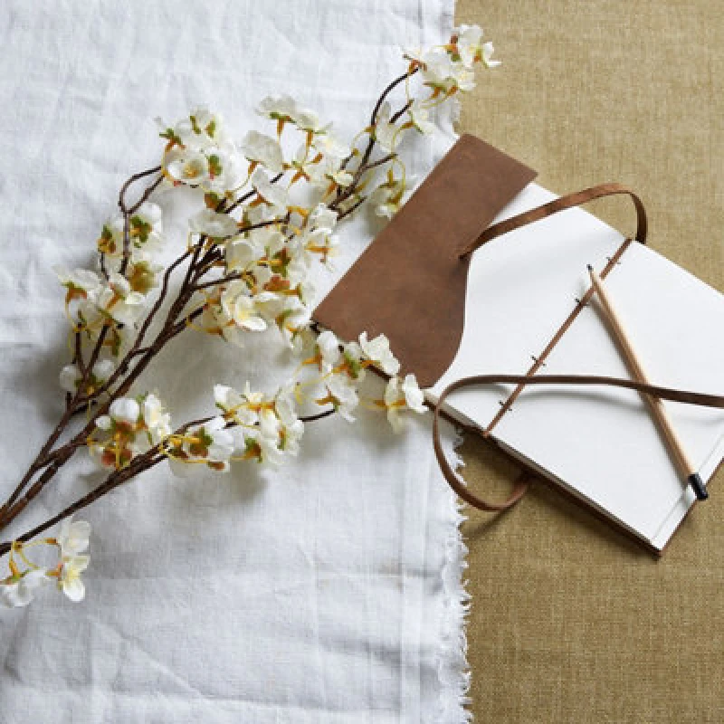 Image of White Japanese Blossom