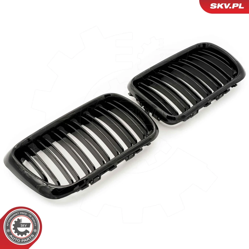 Image of ESEN SKV Radiator Grille ESEN SKV 66SKV054