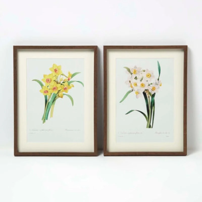 Image of Homescapes Set Of 2 Narcissus Flower Wall Art