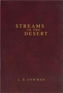 Image of Contemporary Classic/Streams in the Desert