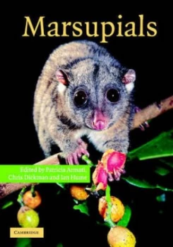 Image of Marsupials by Patricia J. Armati Hardback