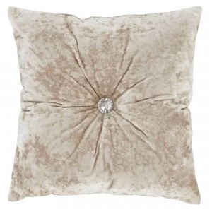 Image of Crushed Velvet Cushion