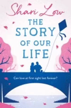 Image of story of our life a bittersweet love story