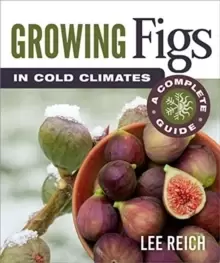 Image of Growing Figs in Cold Climates : A Complete Guide