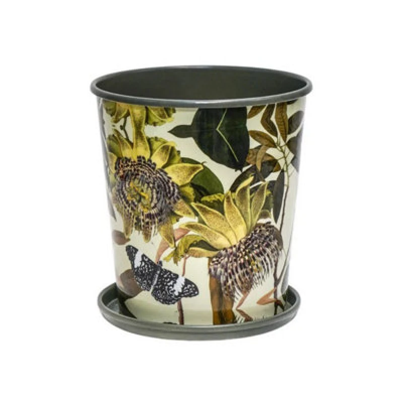 Image of Ivyline Kew Botanical Retreat Planter With Saucer - Mild Steel - L14 X W14 X H16cm - Green