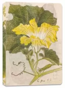 Image of Japanese Squash Blossom Lined Paperback Journal : Blank Notebook with Pocket
