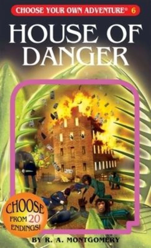 Image of House of Danger by R a Montgomery Book