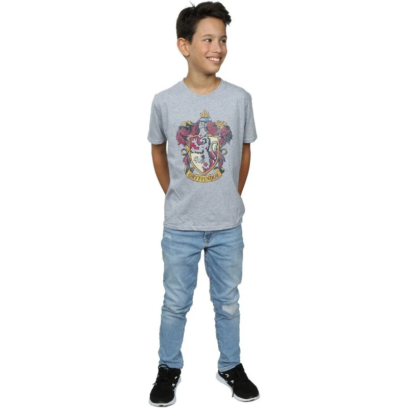 Image of Harry Potter Gryffindor T-Shirt Grey male