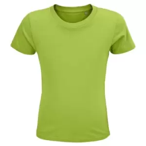Image of SOLS Childrens/Kids Crusader Organic T-Shirt (10 Years) (Apple Green)