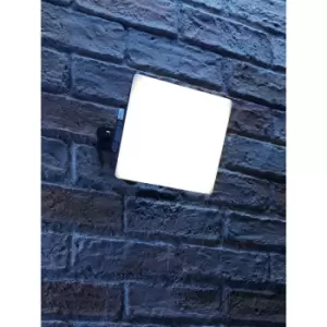 IP65 LED Floodlight Black 50W - Auraglow