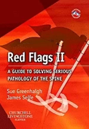 Image of red flags ii book