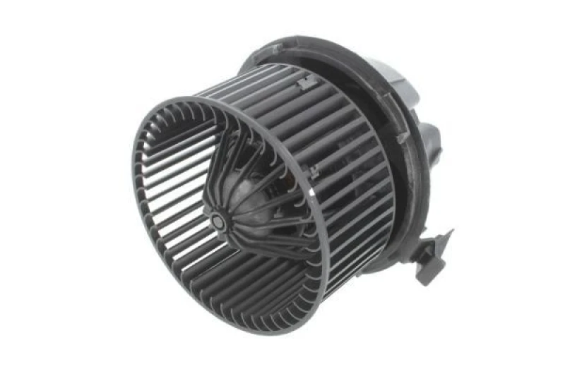 Image of THERMOTEC Blower motor THERMOTEC DDR015TT