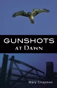 Image of Gunshots at Dawn
