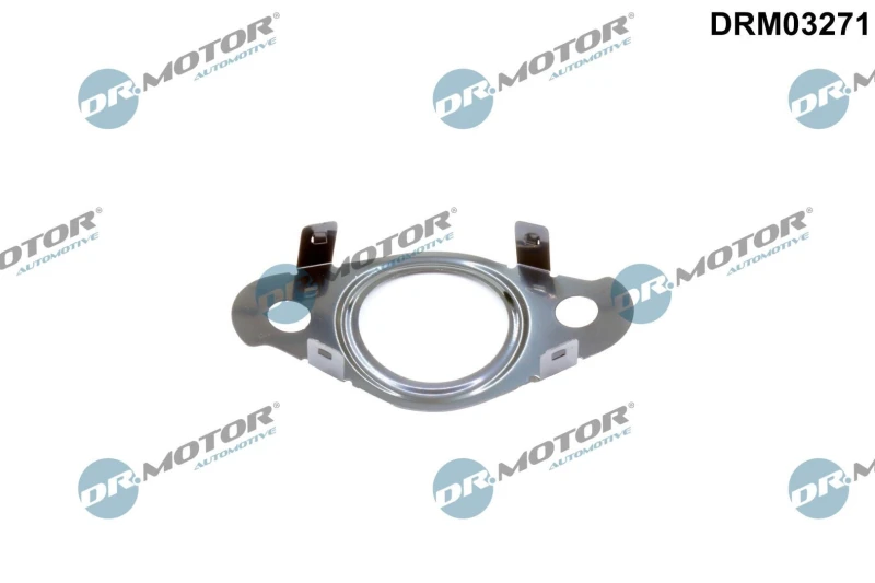 Image of DR.MOTOR AUTOMOTIVE Gasket, EGR valve pipe DR.MOTOR AUTOMOTIVE DRM03271
