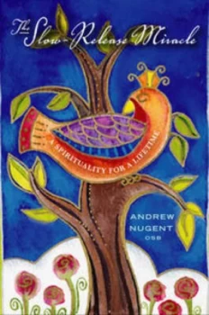Image of The Slow-Release Miracle by Andrew Nugent Paperback