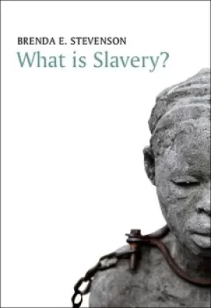 Image of What is slavery? by Brenda E. Stevenson