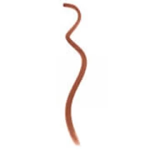 Image of Elizabeth Arden Gelato Collection Lip Liner (Various Shades) - Taupe 02