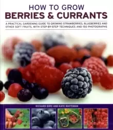 Image of How to Grow Berries and Currants : A Practical Gardening Guide for Great Results, with Step-by-step Techniques and 185 Colour Photographs
