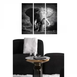 Image of MDF117747946 Multicolor Decorative MDF Painting (3 Pieces)