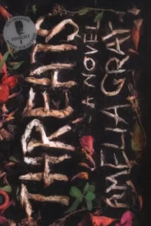 Image of Threats by Amelia Gray