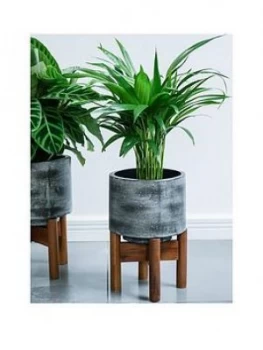 Ivyline Vigo Slate Planter With Stand