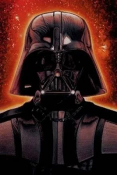 Image of The Rise and Fall of Darth Vader by Ryder Windham Hardback