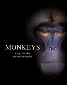 Image of Monkeys : Apes, Gorillas and other Primates