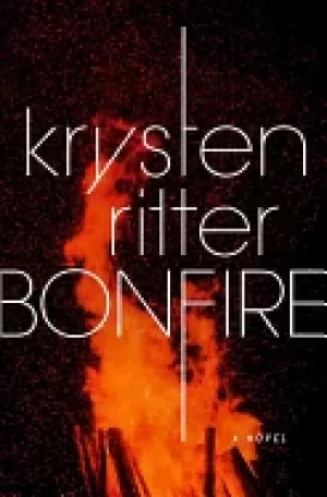 Image of bonfire a novel