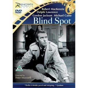 Image of Blind Spot DVD