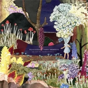 image of And Now for the Whatchamacallit by Psychedelic Porn Crumpets CD Album