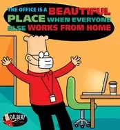 Image of The Office Is a Beautiful Place When Everyone Else Works from Home