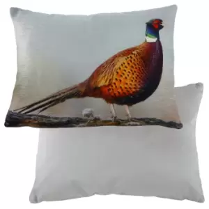 Image of Pheasant Velvet Pheasant Cushion Multicolour