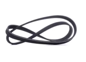 Image of RIDEX V-ribbed belt OPEL,FORD,FIAT 305P0032 55351458,12634319,24435940 Serpentine belt,Auxiliary belt,Poly V-belt,Ribbed belt,Multi V-belt,Poly belt