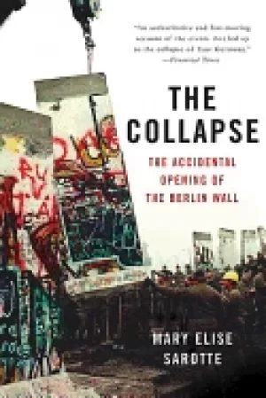 Image of collapse the accidental opening of the berlin wall