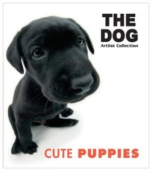 Image of Cute Puppies Book