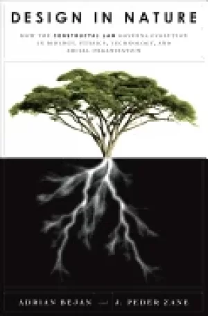 Image of design in nature how the constructal law governs evolution in biology physi