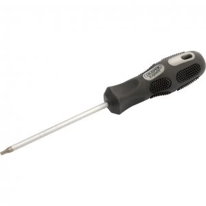 Image of Draper Expert Security Torx Screwdriver T15 100mm