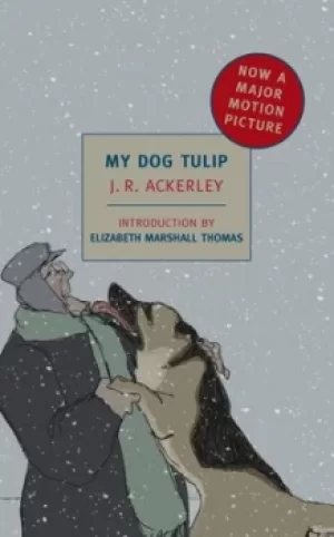 Image of My dog Tulip by J. R. Ackerley