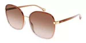 Image of Chloe Sunglasses CH0031S 007